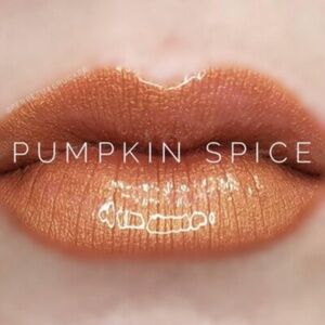 LipSense Lip Color, Pumpkin Spice (RETIRED, RARE FIND!)